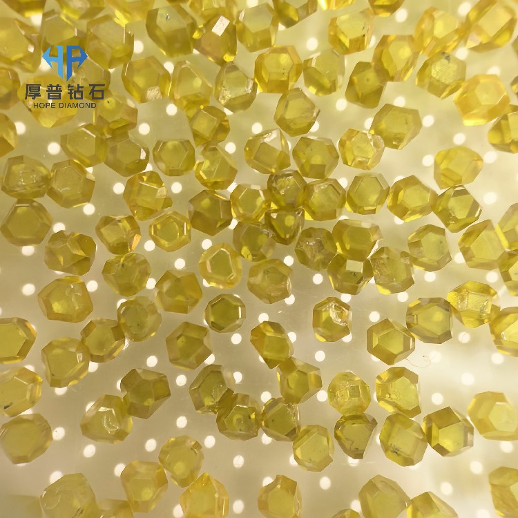 1785912765569035.jpg 微信图片_20260509094713_6404_3.jpg
