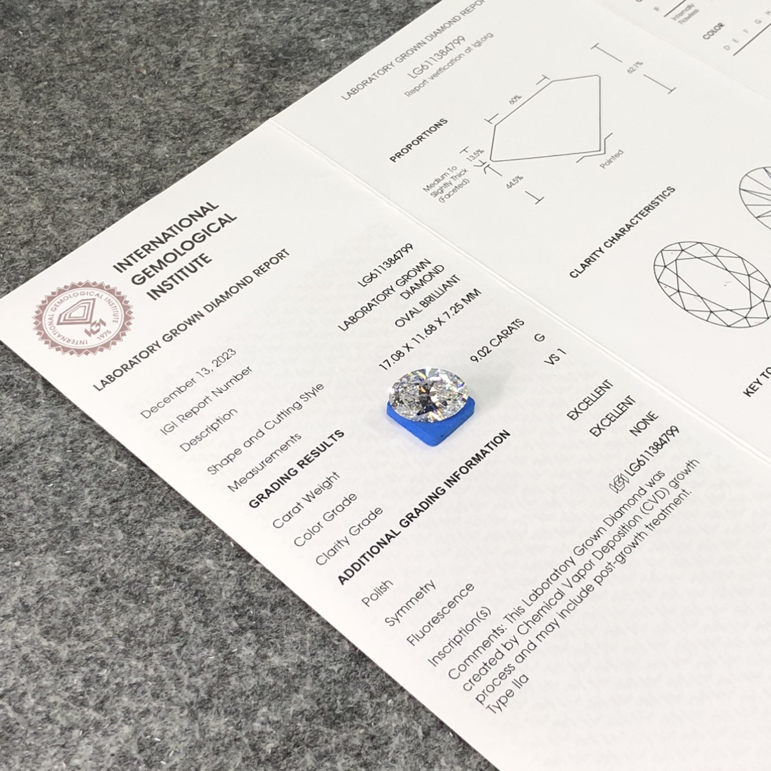 9.02 Carat CVD Lab Grown Diamond Oval Cut VS1 Clarity Loose Gemstone for Luxury Jewelry