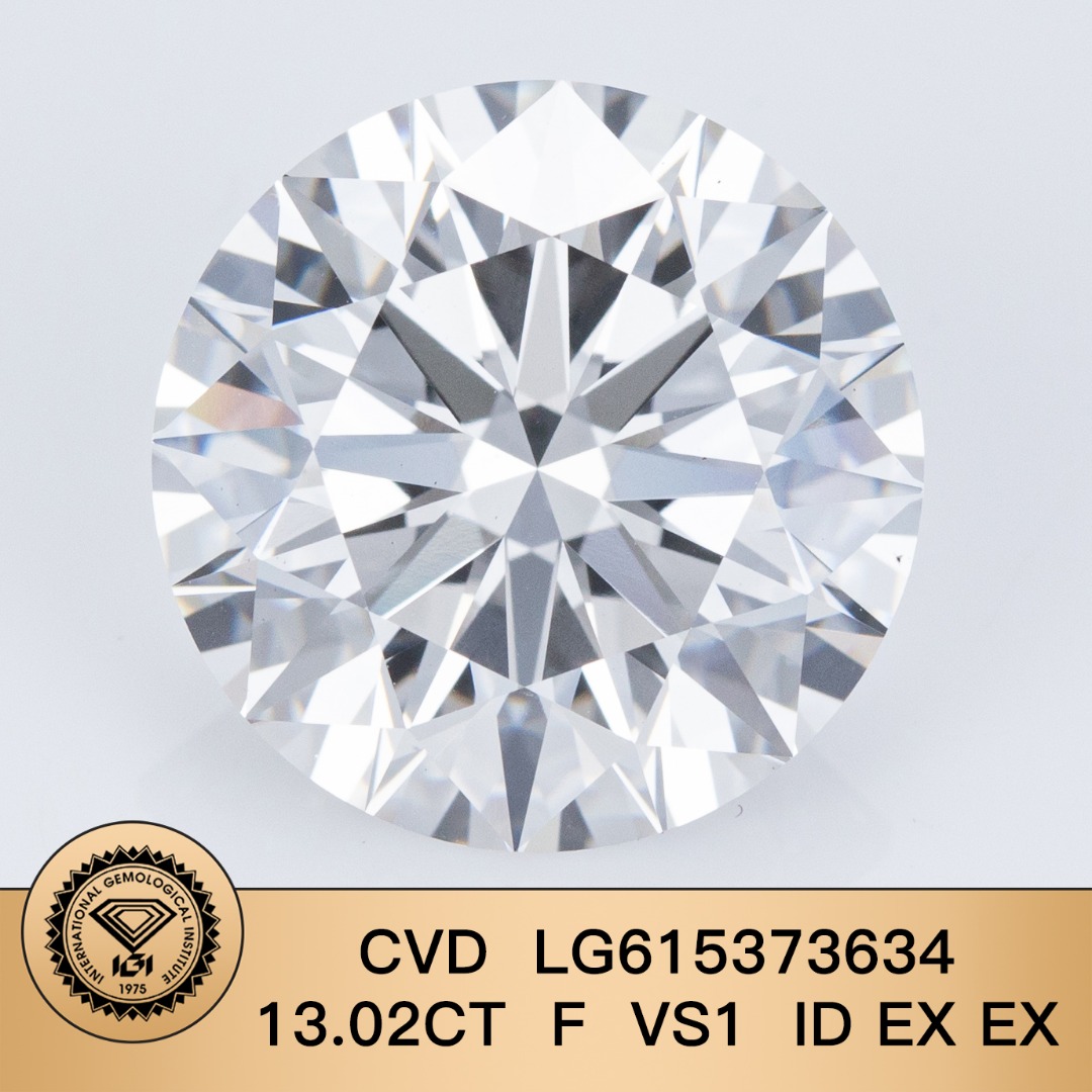 13 Carat Round E VS1 Lab Grown Diamond Loose Stone with IGI Report for Fine Jewelry