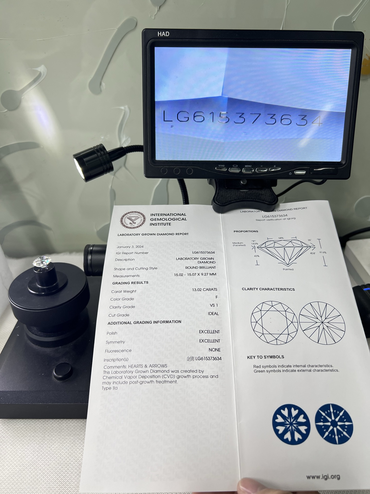 13 Carat Round E VS1 Lab Grown Diamond Loose Stone with IGI Report for Fine Jewelry